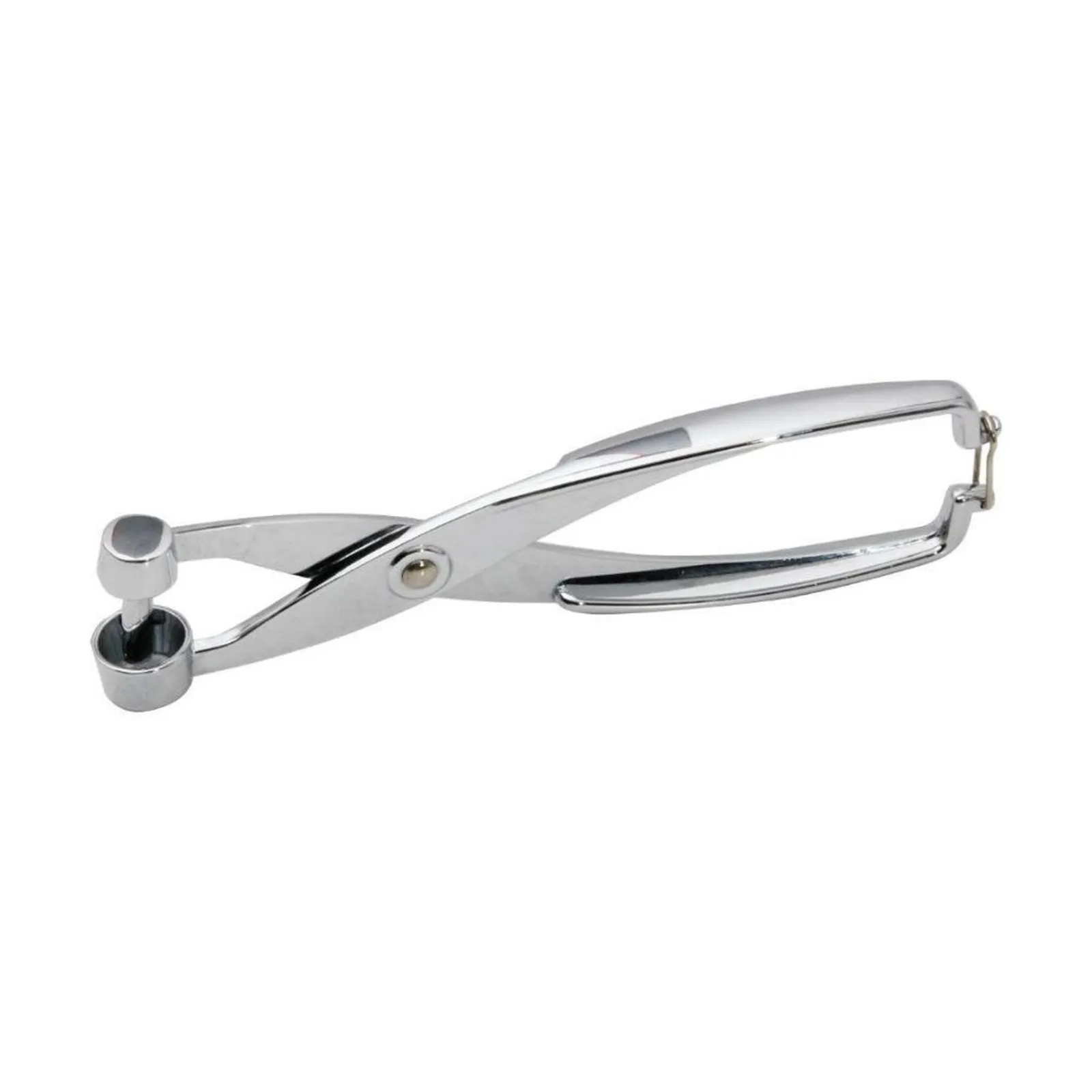 Pedrini odrstranjivač koštica