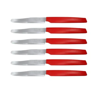 Pedrini set od 6 kuhinjskih noževa